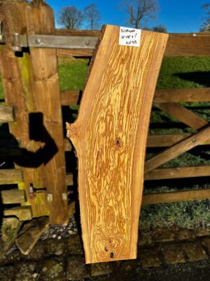 Olivewood