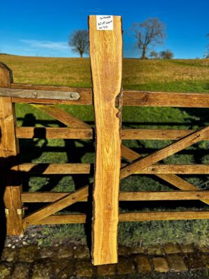 Olivewood