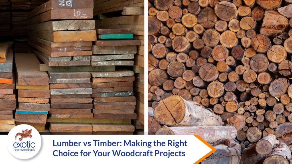 Lumber vs Timber: Making the Right Choice for Your Woodcraft Projects