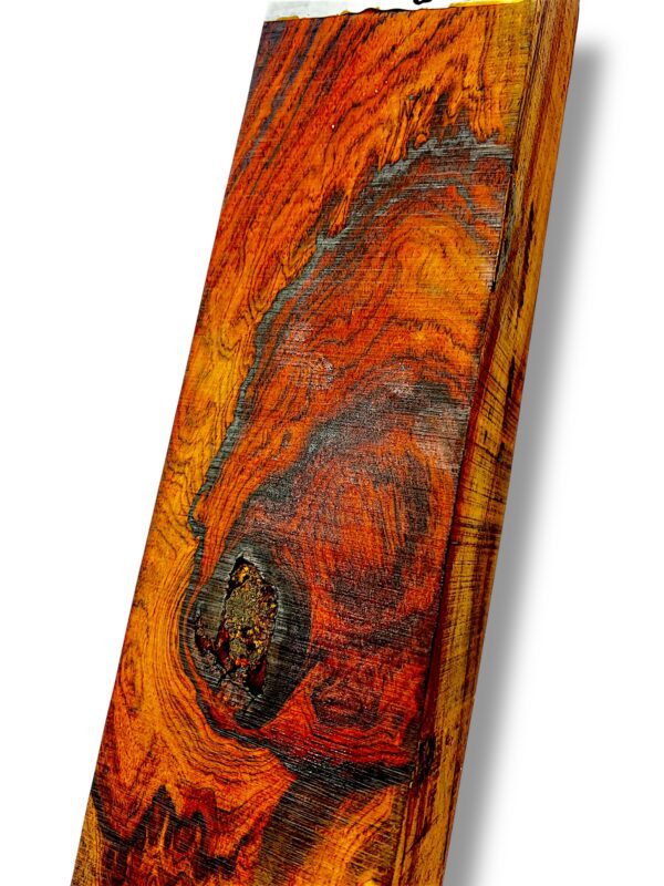 Mexican Cocobolo