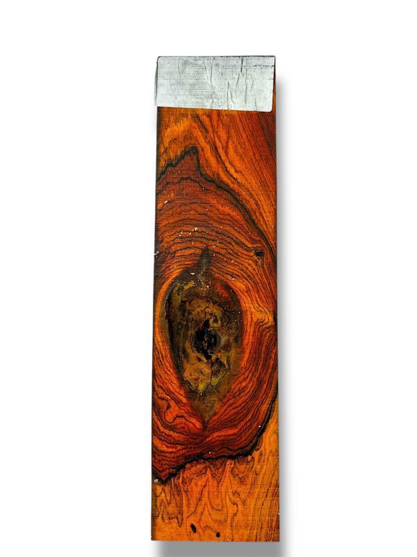 Mexican Cocobolo