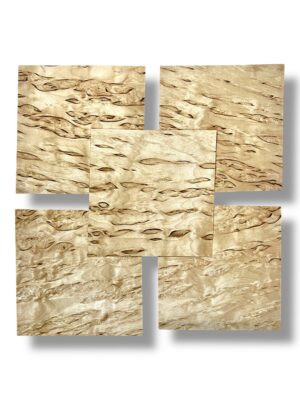 Masur Birch