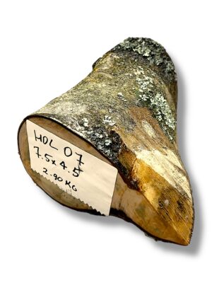 Holly