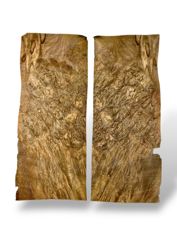 Walnut