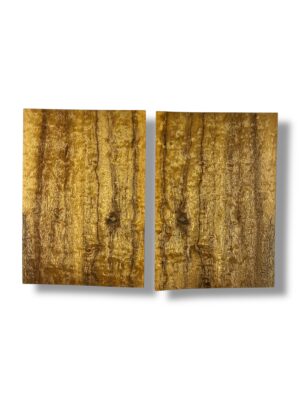 Tasmanian Blackwood