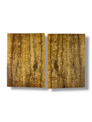 Tasmanian Blackwood