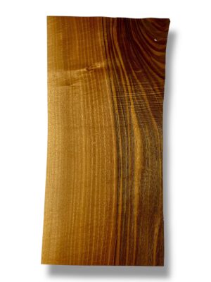 American Black Walnut