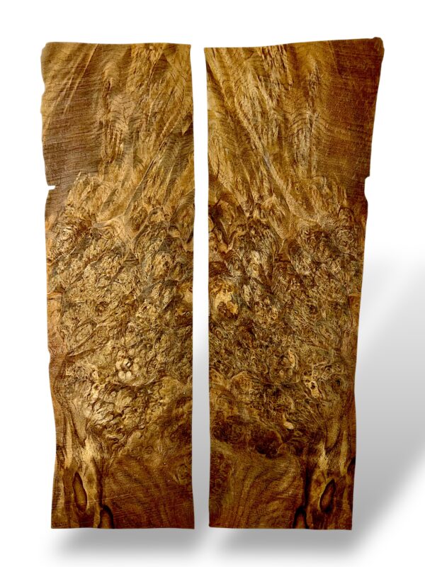 Walnut