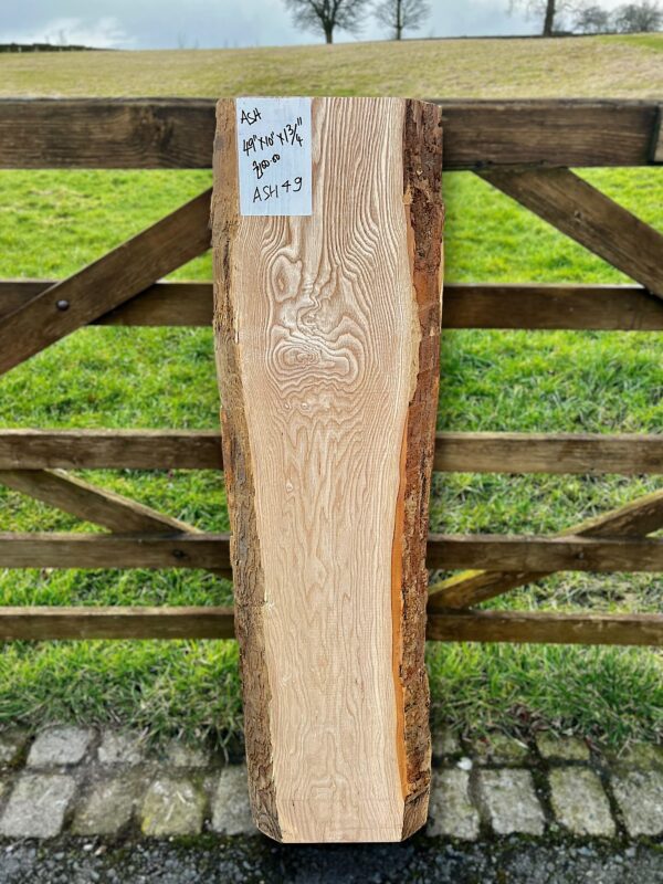 American Ash
