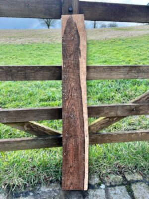 Bocote