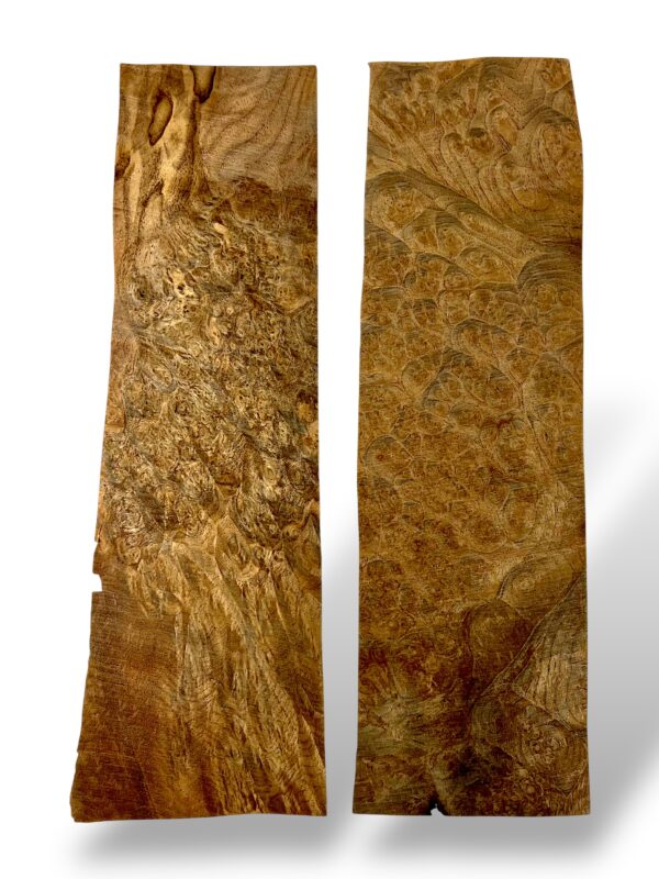 Walnut