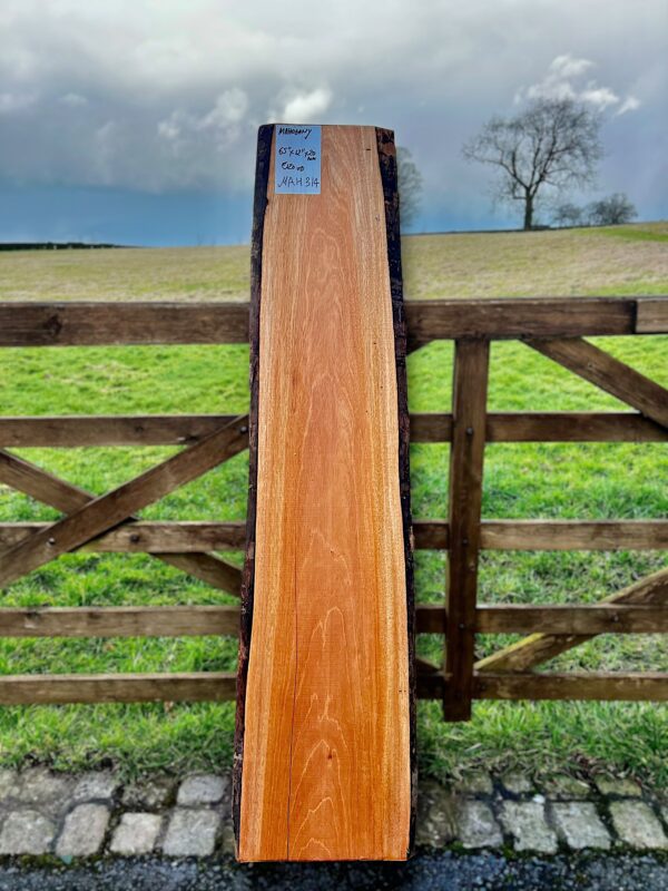 Mahogany