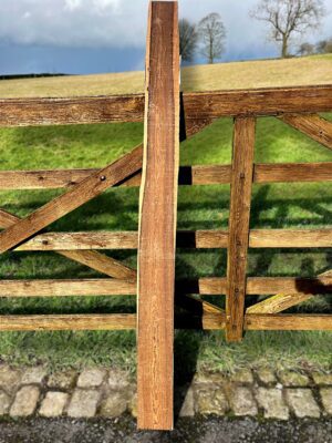 Bocote