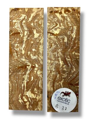 lacewood