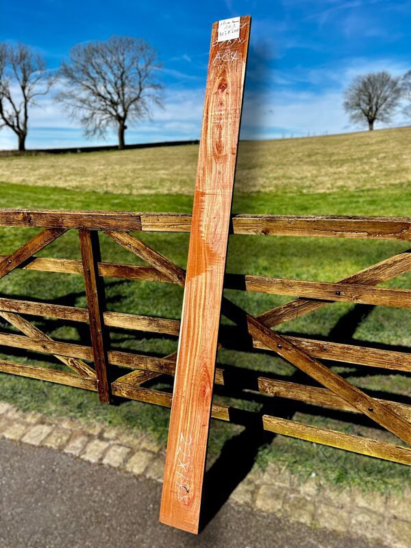 African rosewood