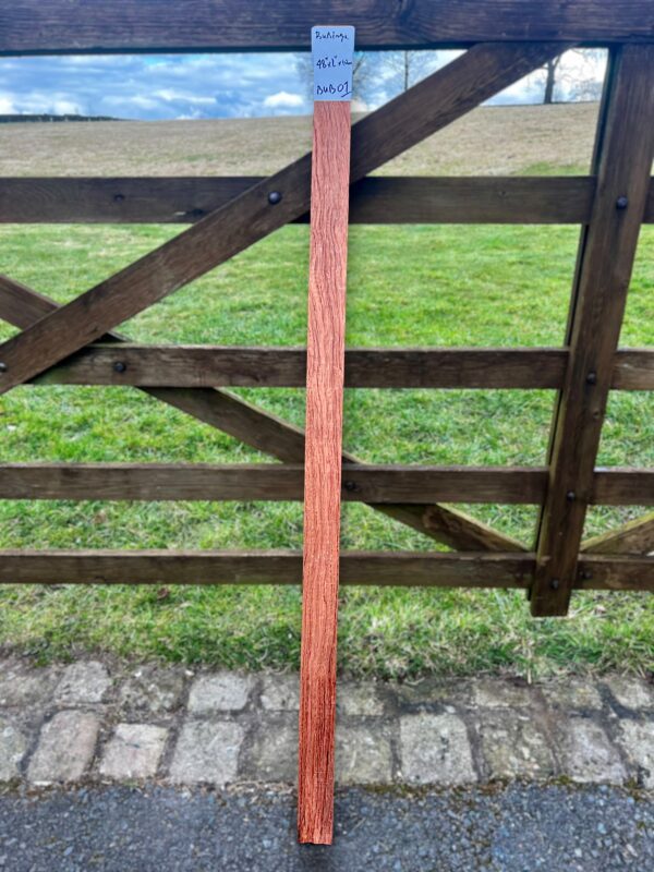 Bubinga