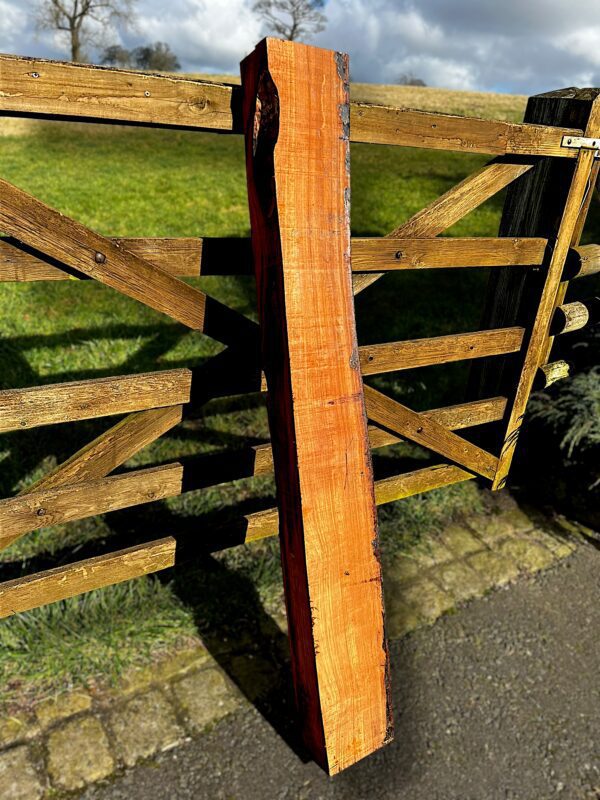 Mexican Cocobolo