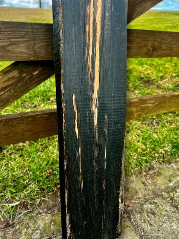 Ebony