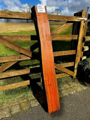Mexican Cocobolo