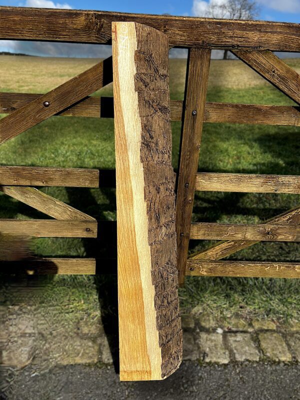 Oak