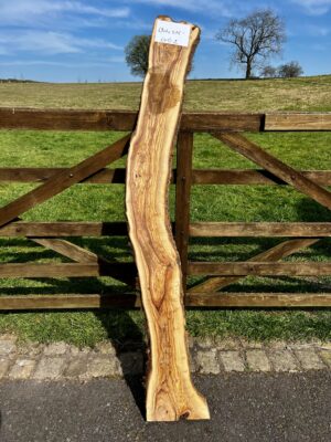 Olivewood
