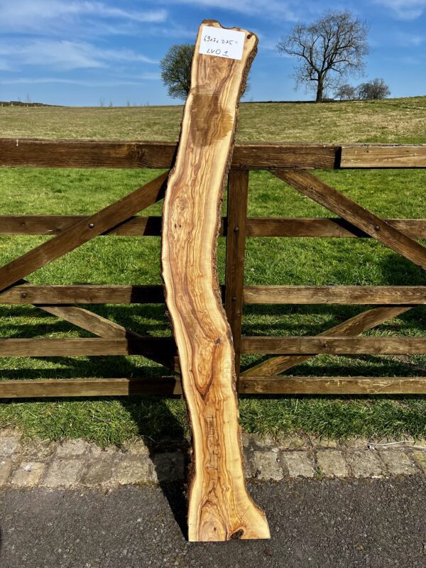 Olivewood