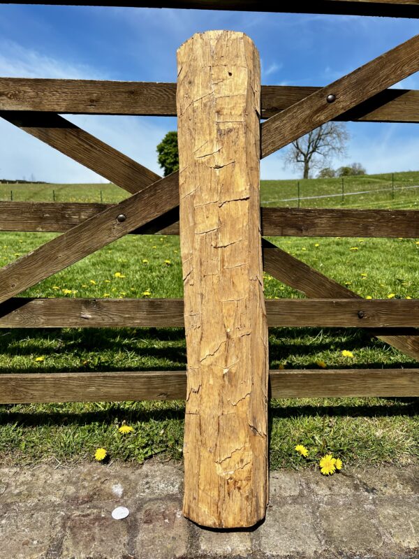 Kingwood