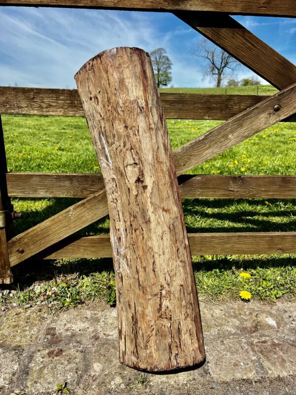 Honduran Rosewood