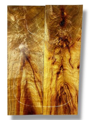 Camphor Laurel