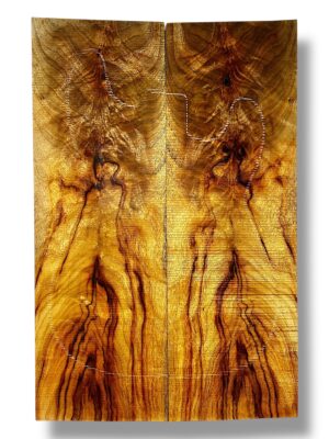 Camphor Laurel