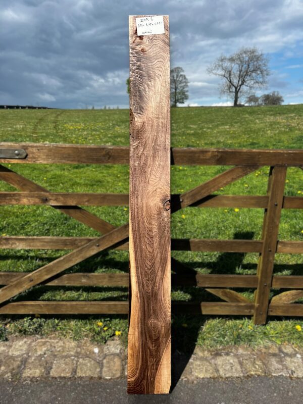 Walnut