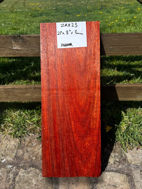 Padauk