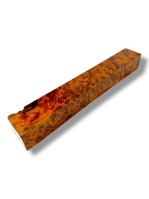 Thuya burr
