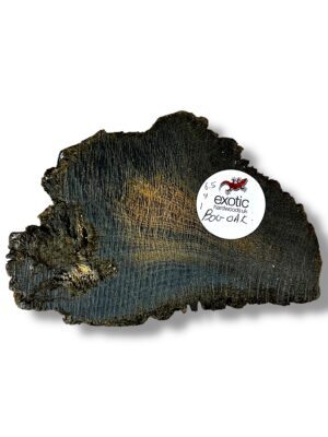 Bog Oak