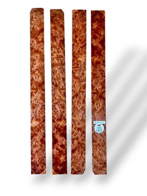 Vavona Burr