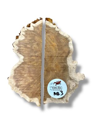 Brown Mallee Burr
