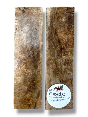 Stabilised Black Poisonwood