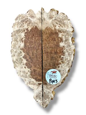 Brown Mallee Burr