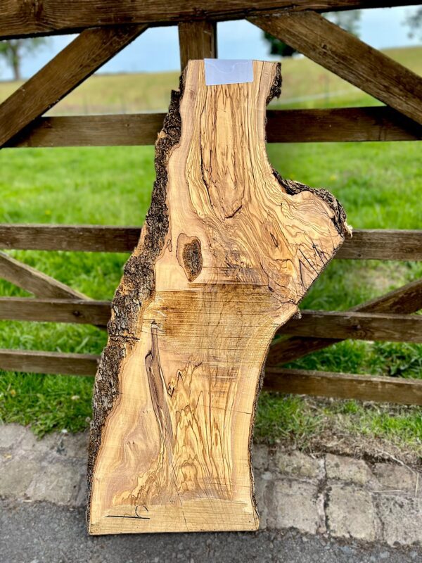 Olivewood