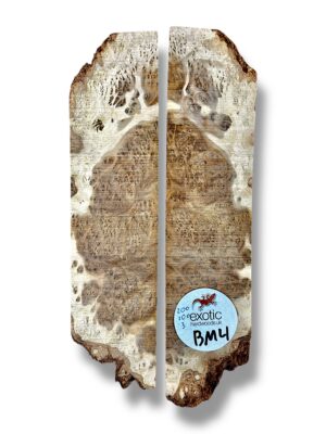 Brown Mallee Burr