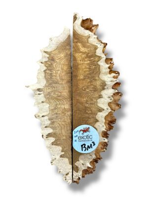 Brown Mallee Burr