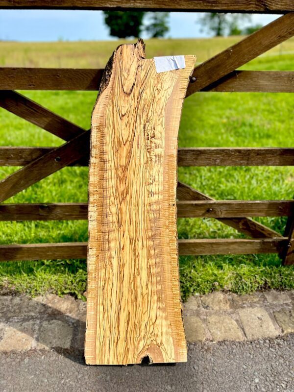 Olivewood