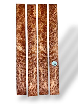 Vavona Burr
