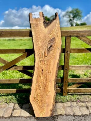 Olivewood